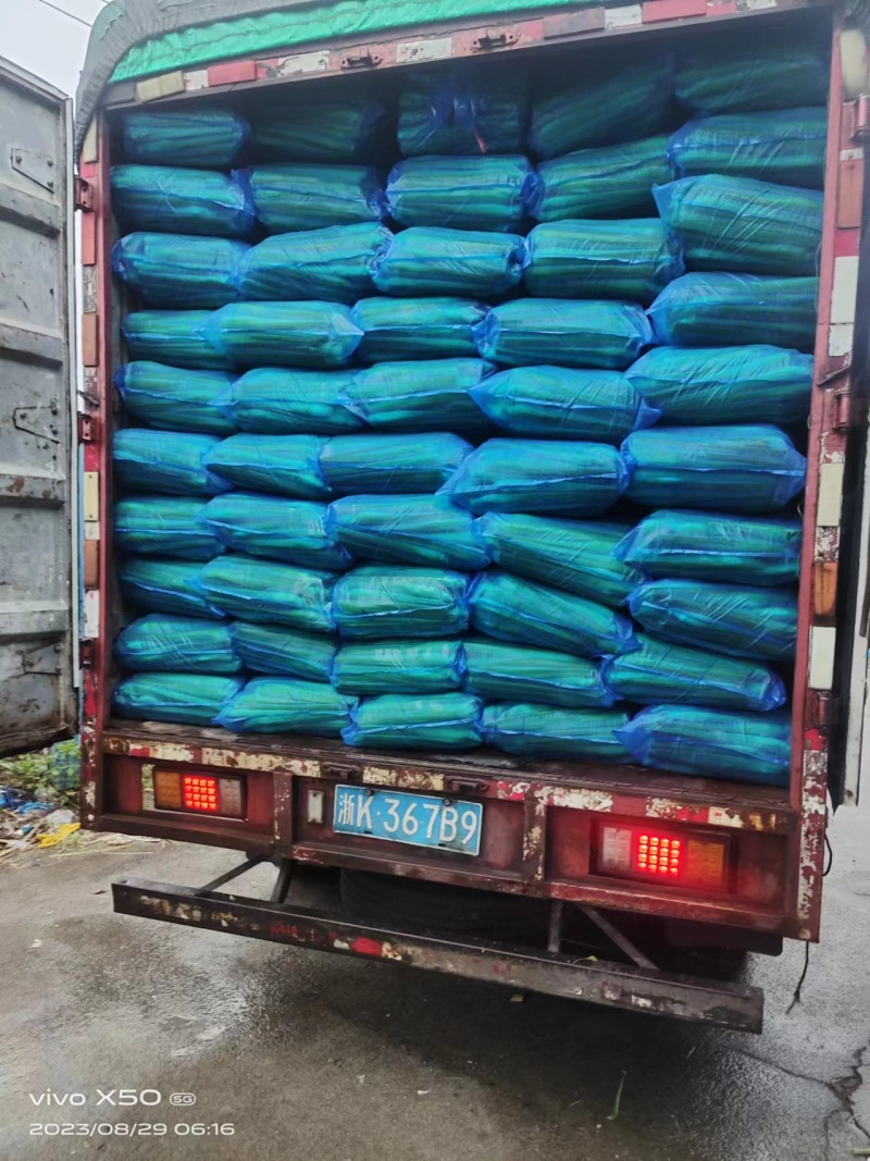 茭白基地直供，量大质优，价格优惠，欢迎电话洽谈