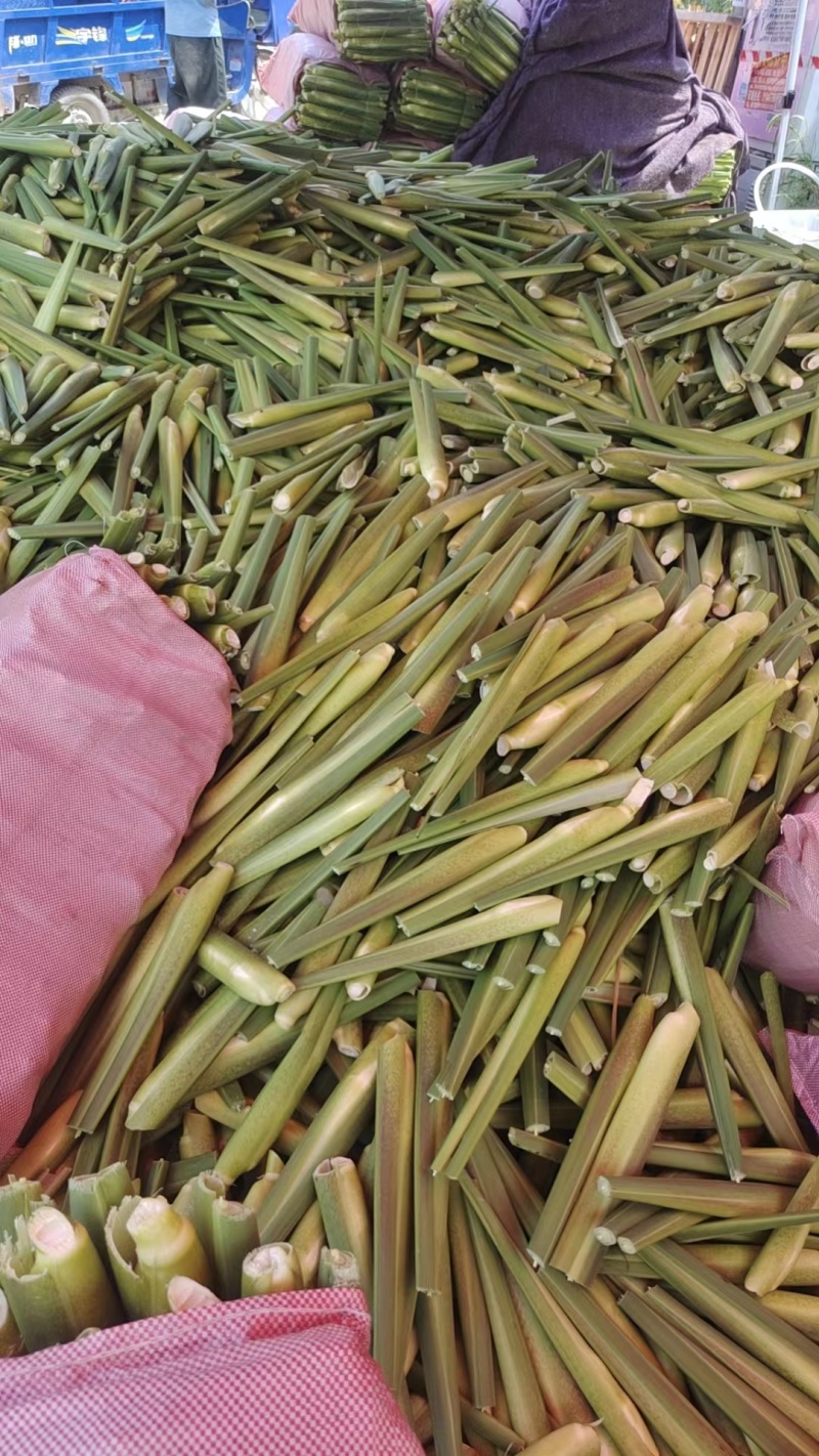 茭白基地直供，量大质优，价格优惠，欢迎电话洽谈