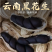 云南黑花生七彩花生货源稳定一手货源大货批发