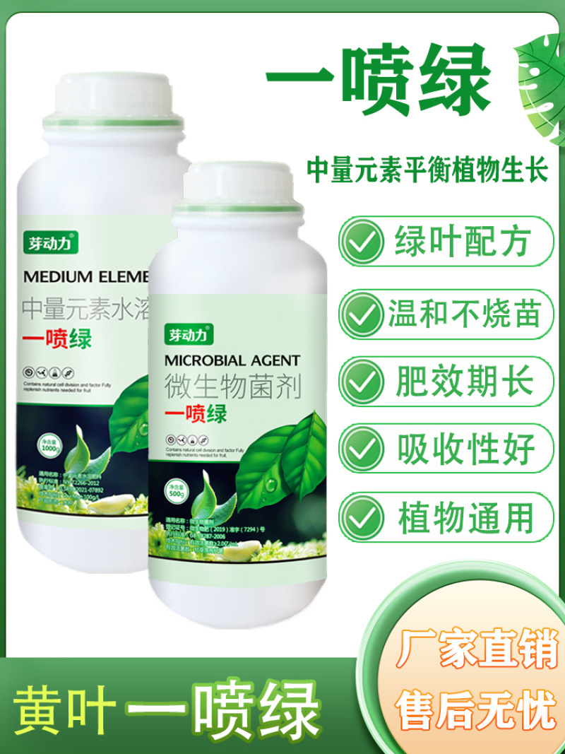 芽动力黄叶一喷绿黄叶变绿叶蔬菜花卉果树死苗微量元素通用