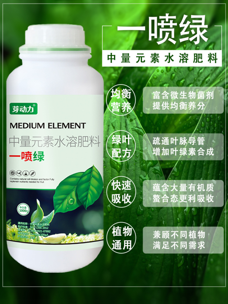 芽动力黄叶一喷绿黄叶变绿叶蔬菜花卉果树死苗微量元素通用