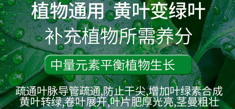 芽动力黄叶一喷绿黄叶变绿叶蔬菜花卉果树死苗微量元素通用