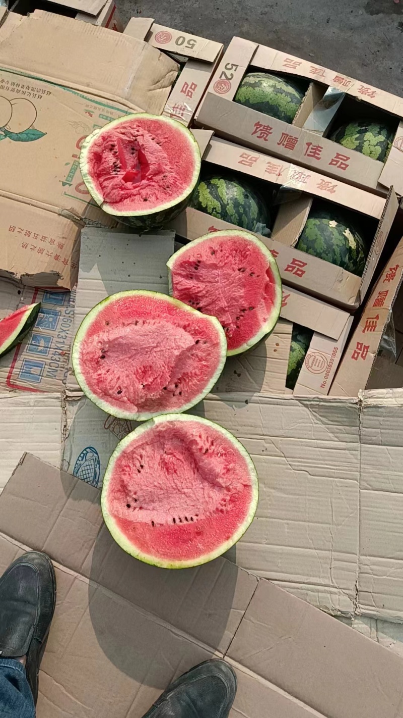 【推荐】精品甜王西瓜大量上市价优欢迎致电合作保质