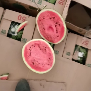 【推荐】精品甜王西瓜大量上市价优欢迎致电合作保质