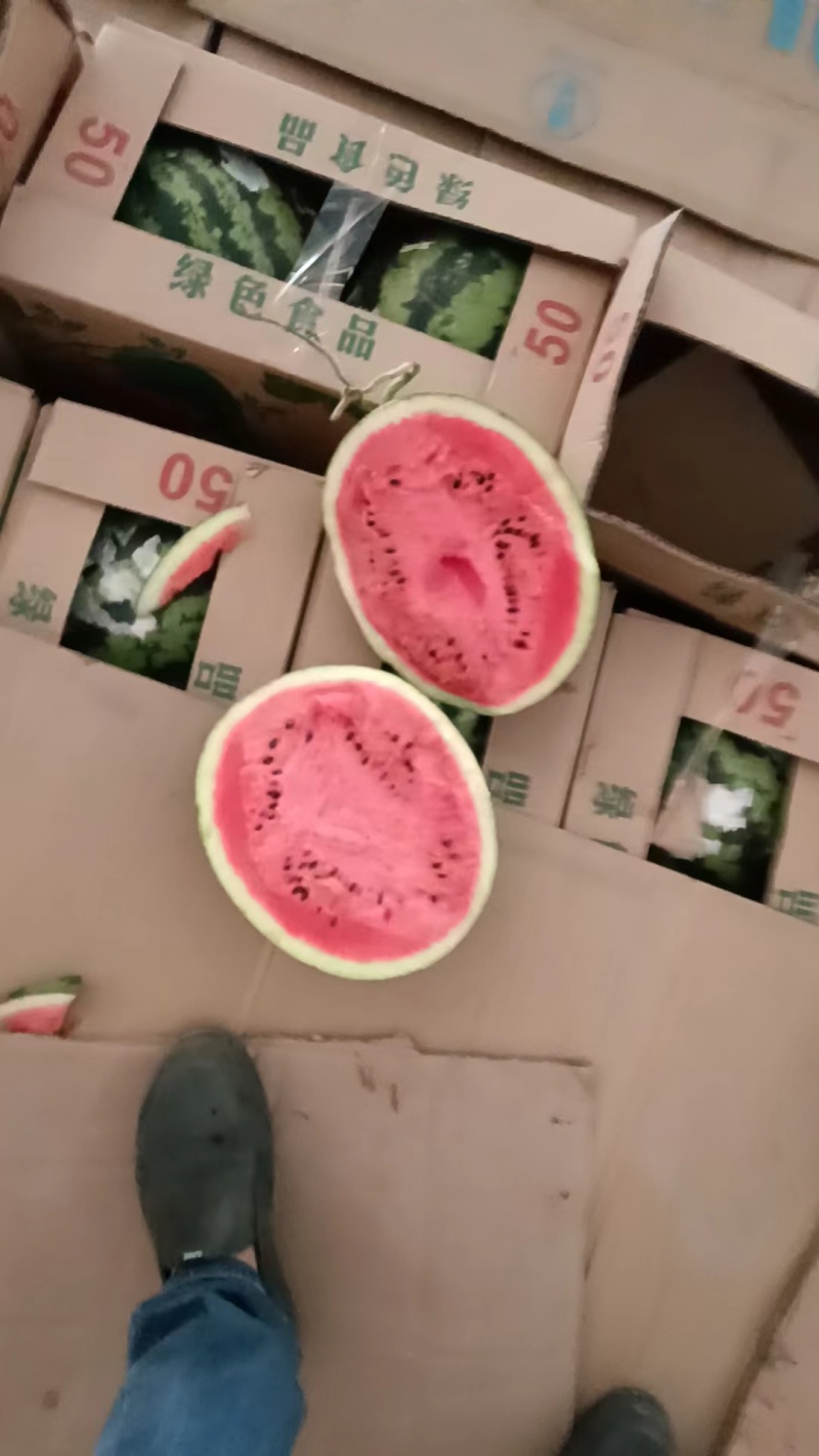 【推荐】精品甜王西瓜大量上市价优欢迎致电合作保质