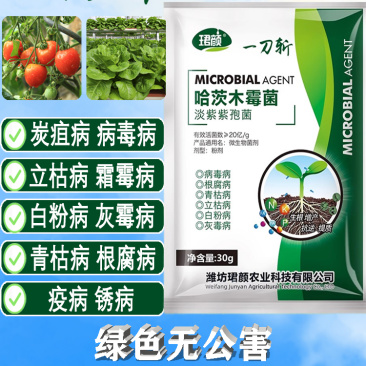 一刀斩哈茨木霉菌淡紫紫孢菌预防真菌细菌缓解抗重茬蔬菜杀菌
