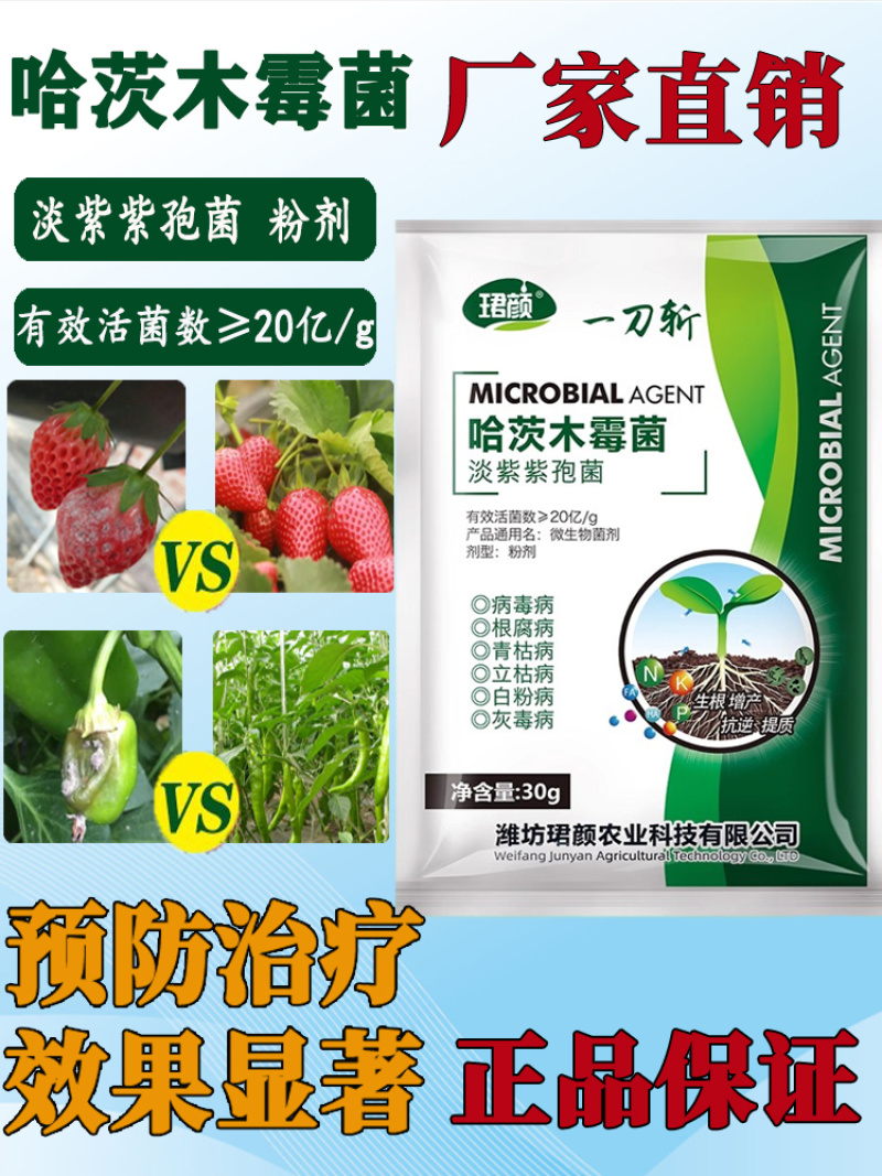 一刀斩哈茨木霉菌淡紫紫孢菌预防真菌细菌缓解抗重茬蔬菜杀菌