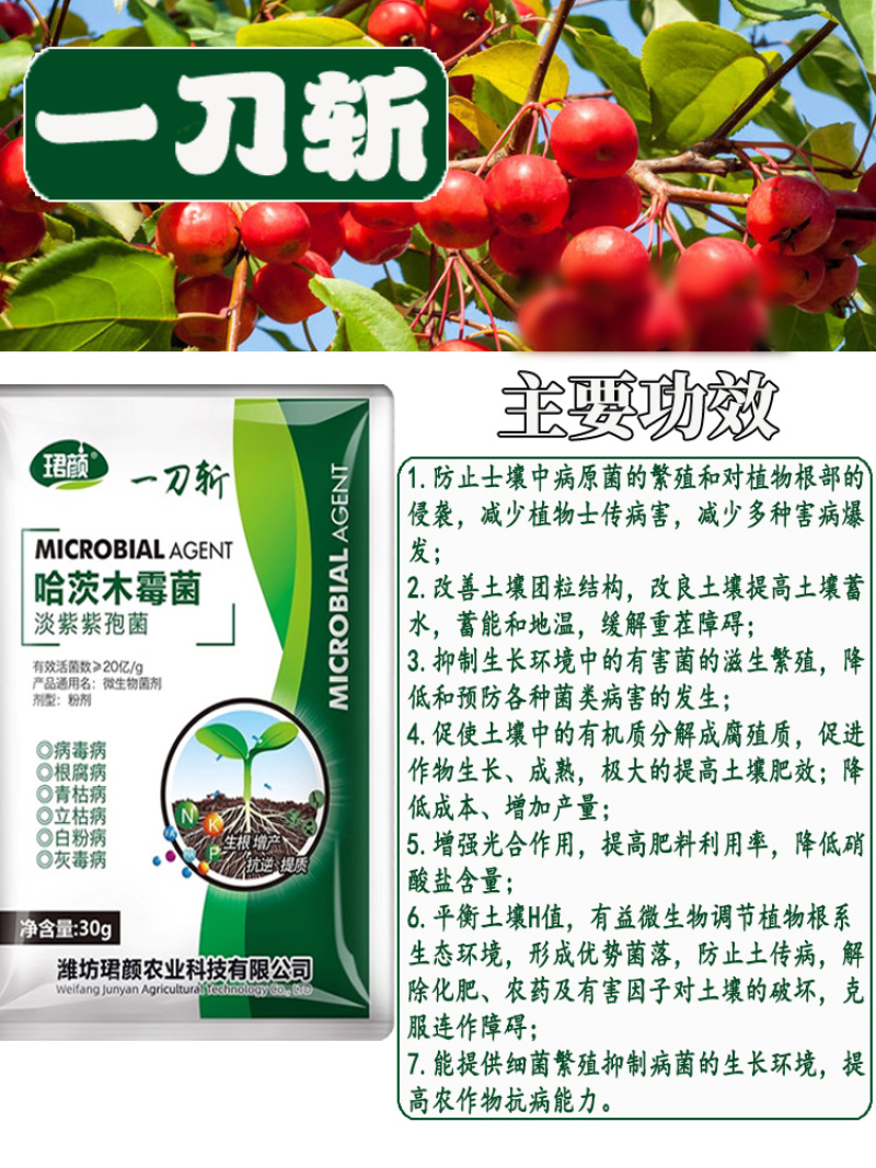 一刀斩哈茨木霉菌淡紫紫孢菌预防真菌细菌缓解抗重茬蔬菜杀菌