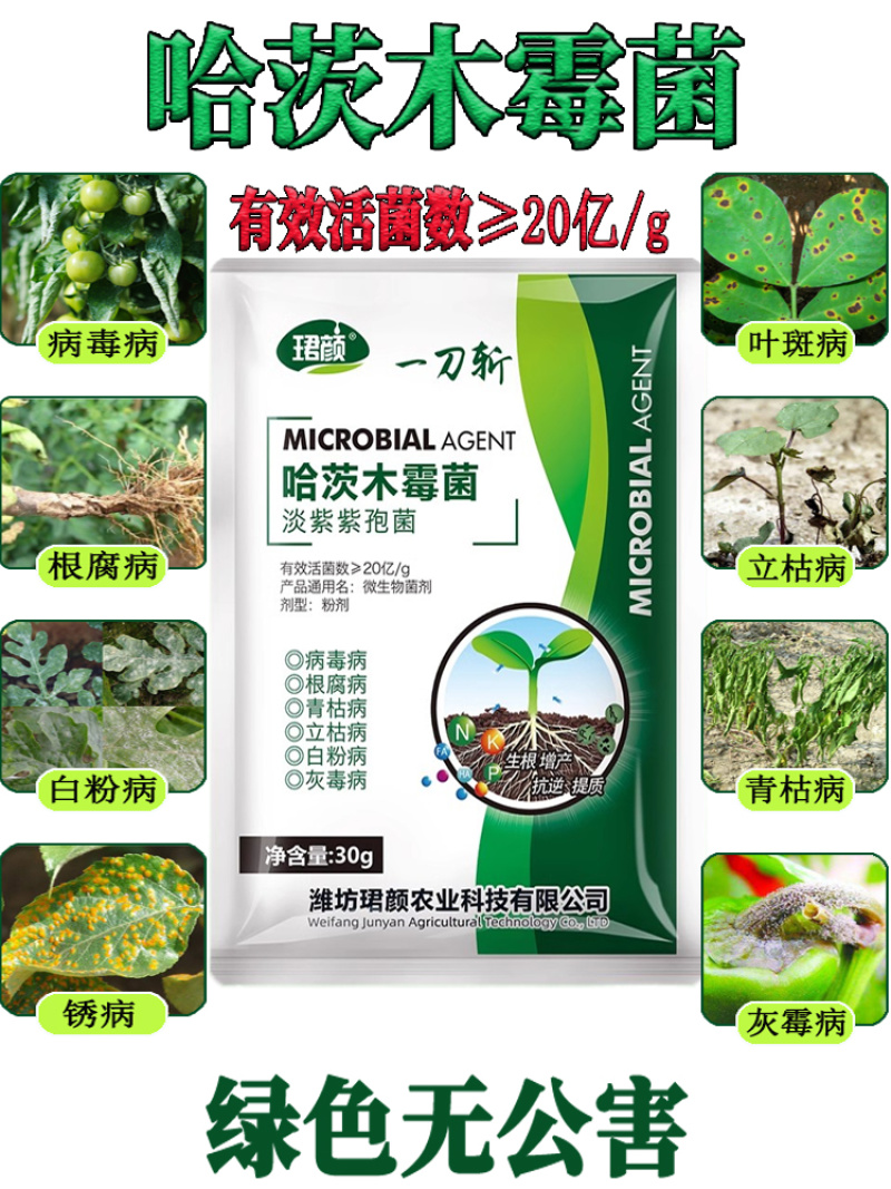 一刀斩哈茨木霉菌淡紫紫孢菌预防真菌细菌缓解抗重茬蔬菜杀菌