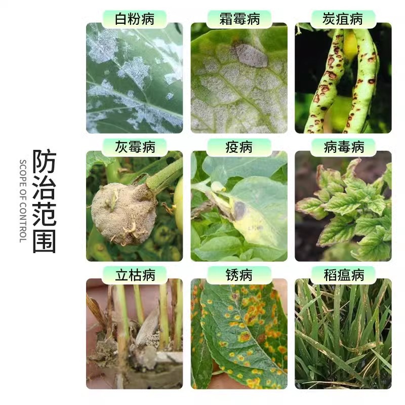 一刀斩哈茨木霉菌淡紫紫孢菌预防真菌细菌缓解抗重茬蔬菜杀菌