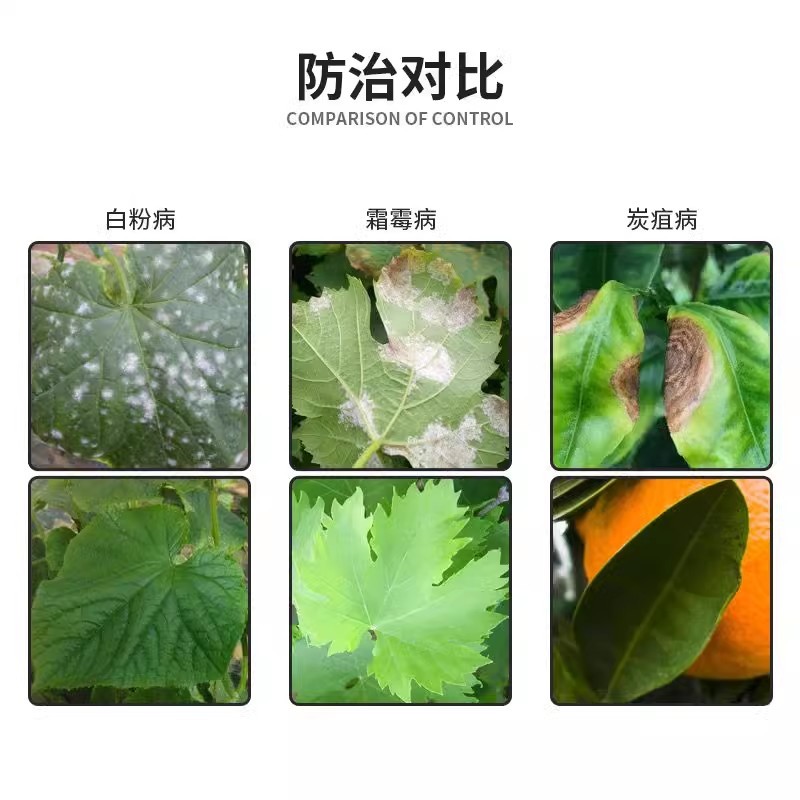 一刀斩哈茨木霉菌淡紫紫孢菌预防真菌细菌缓解抗重茬蔬菜杀菌