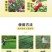 珺颜流体硼保花保果生长繁茂坐果硼肥叶面肥农用单一微量元素