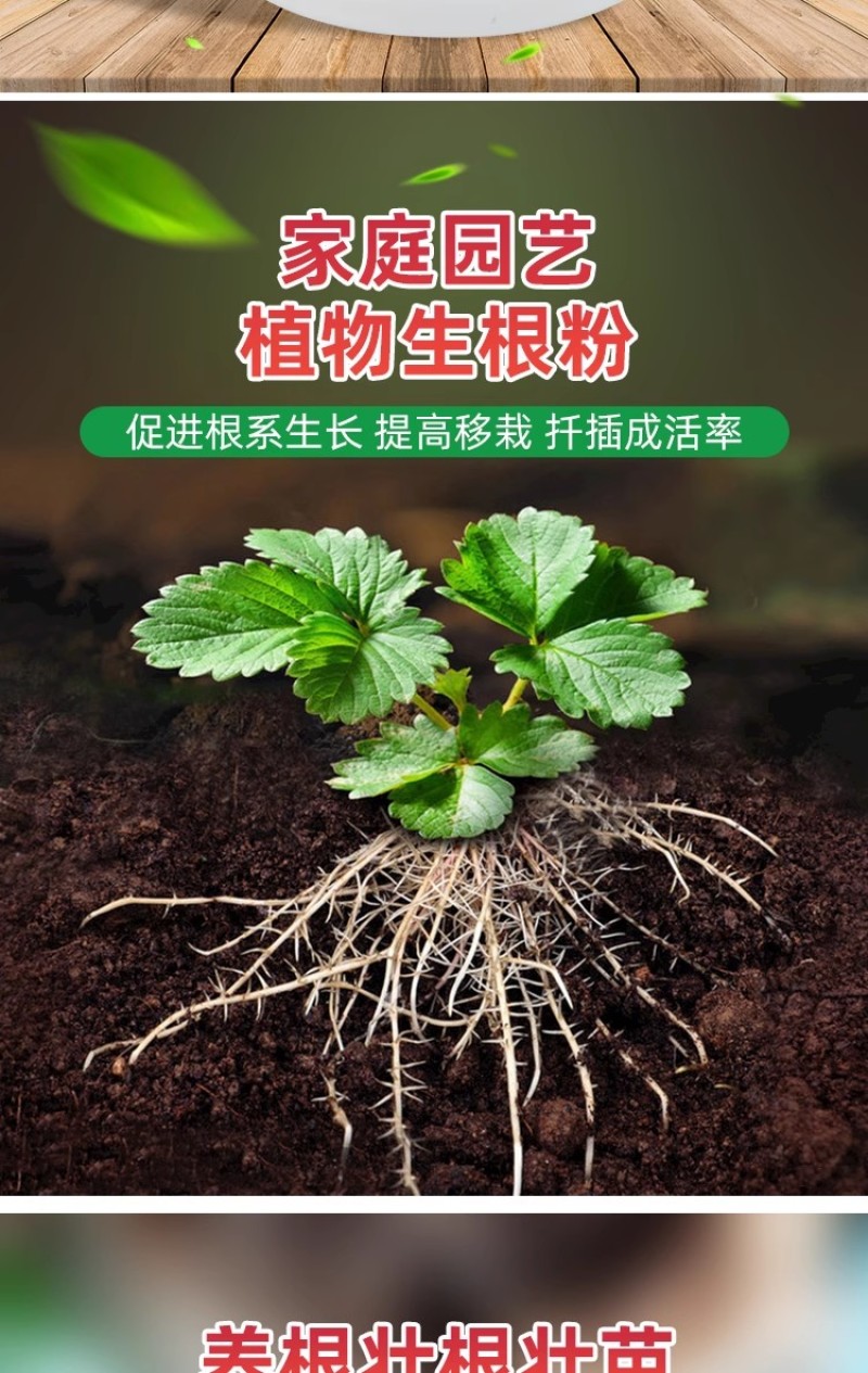珺颜生根粉快生根促根养根防腐抗病害增产增收通用型纯生态水