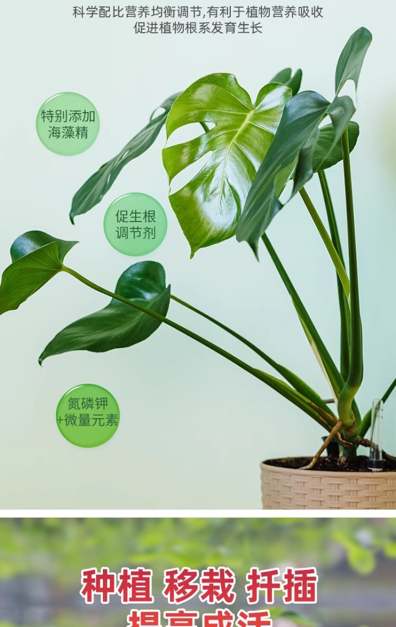 珺颜生根粉快生根促根养根防腐抗病害增产增收通用型纯生态水