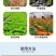珺颜生根粉快生根促根养根防腐抗病害增产增收通用型纯生态水