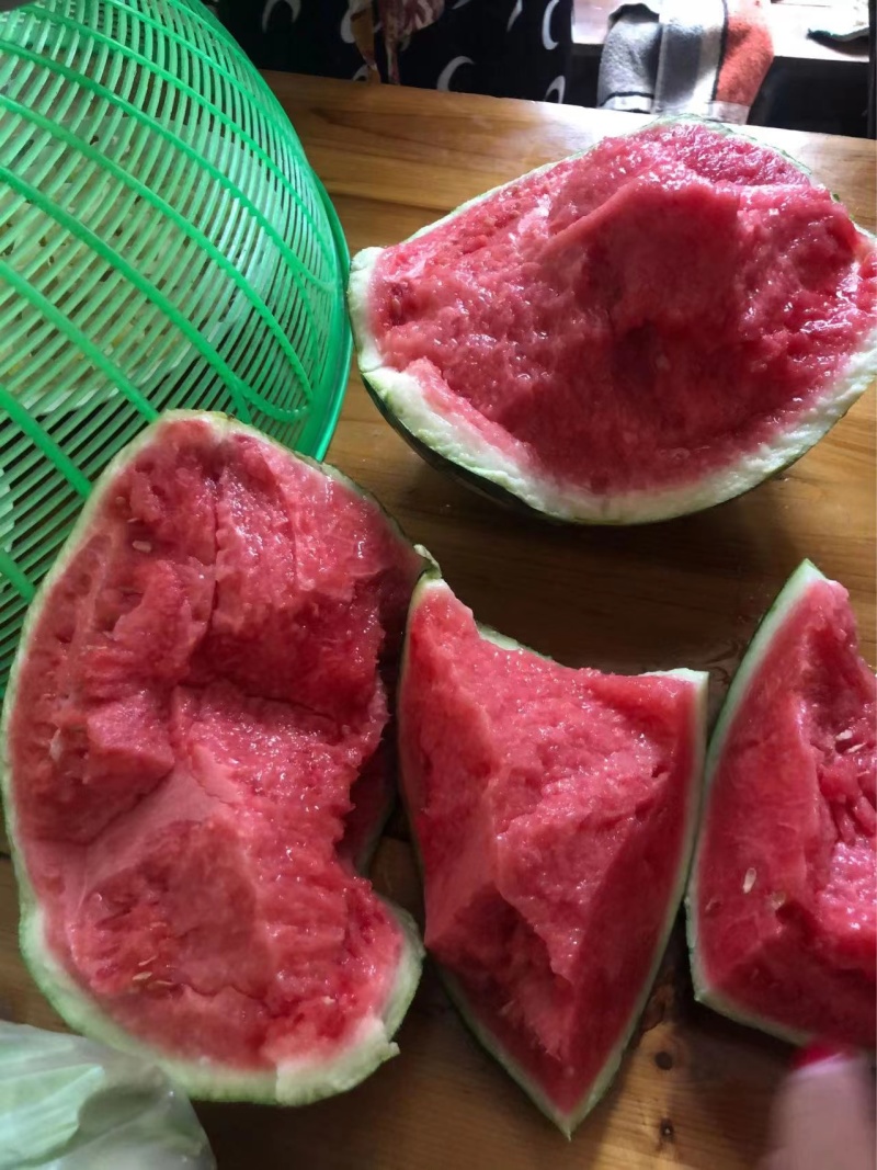 江苏无籽西瓜美都西瓜现摘现发皮薄多汁口感甘甜