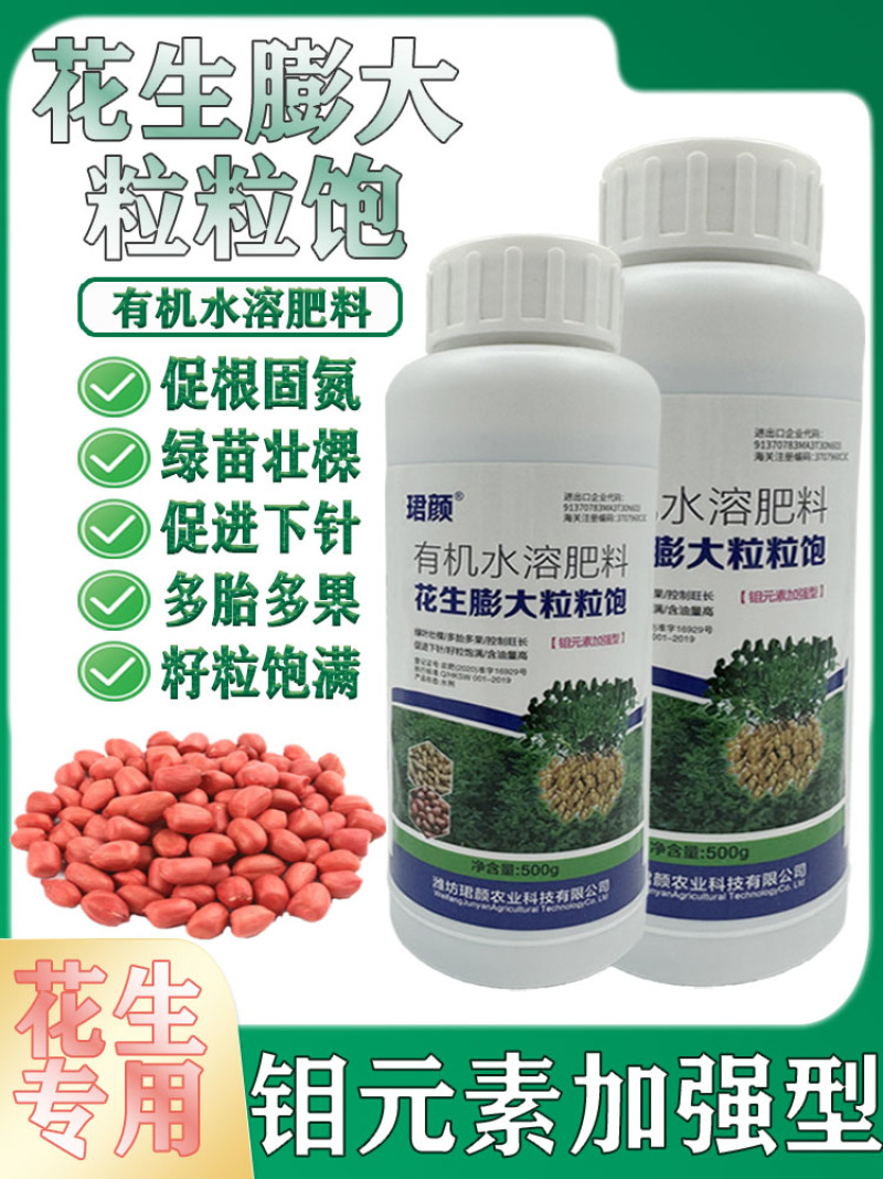 珺颜花生膨大粒粒饱增产增收多胎多果籽粒饱满促进下针有机水