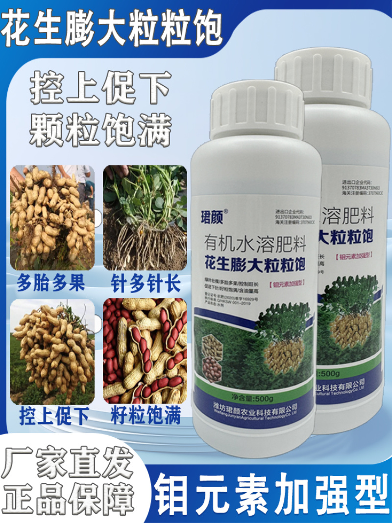 珺颜花生膨大粒粒饱增产增收多胎多果籽粒饱满促进下针有机水