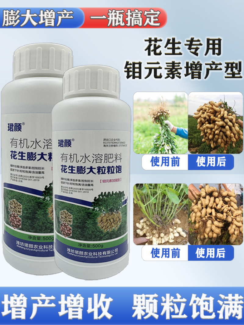 珺颜花生膨大粒粒饱增产增收多胎多果籽粒饱满促进下针有机水