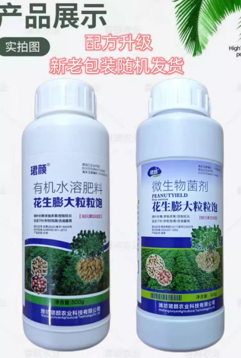珺颜花生膨大粒粒饱增产增收多胎多果籽粒饱满促进下针有机水