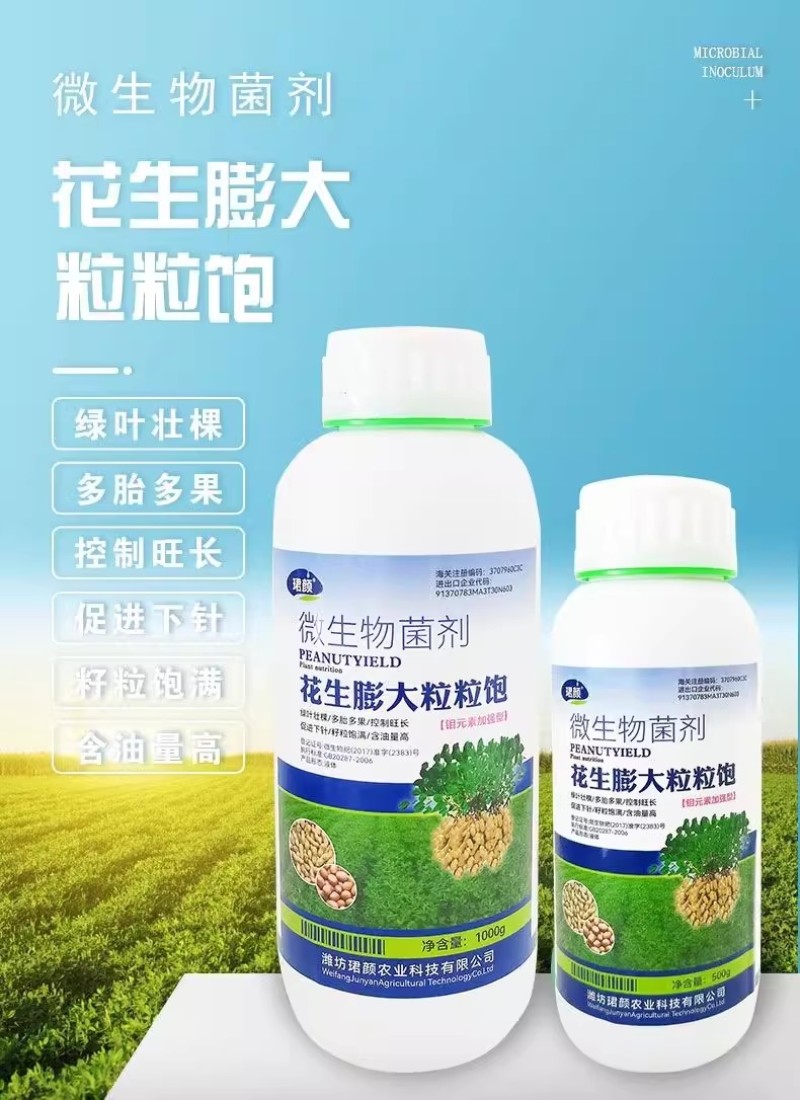 珺颜花生膨大粒粒饱增产增收多胎多果籽粒饱满促进下针有机水