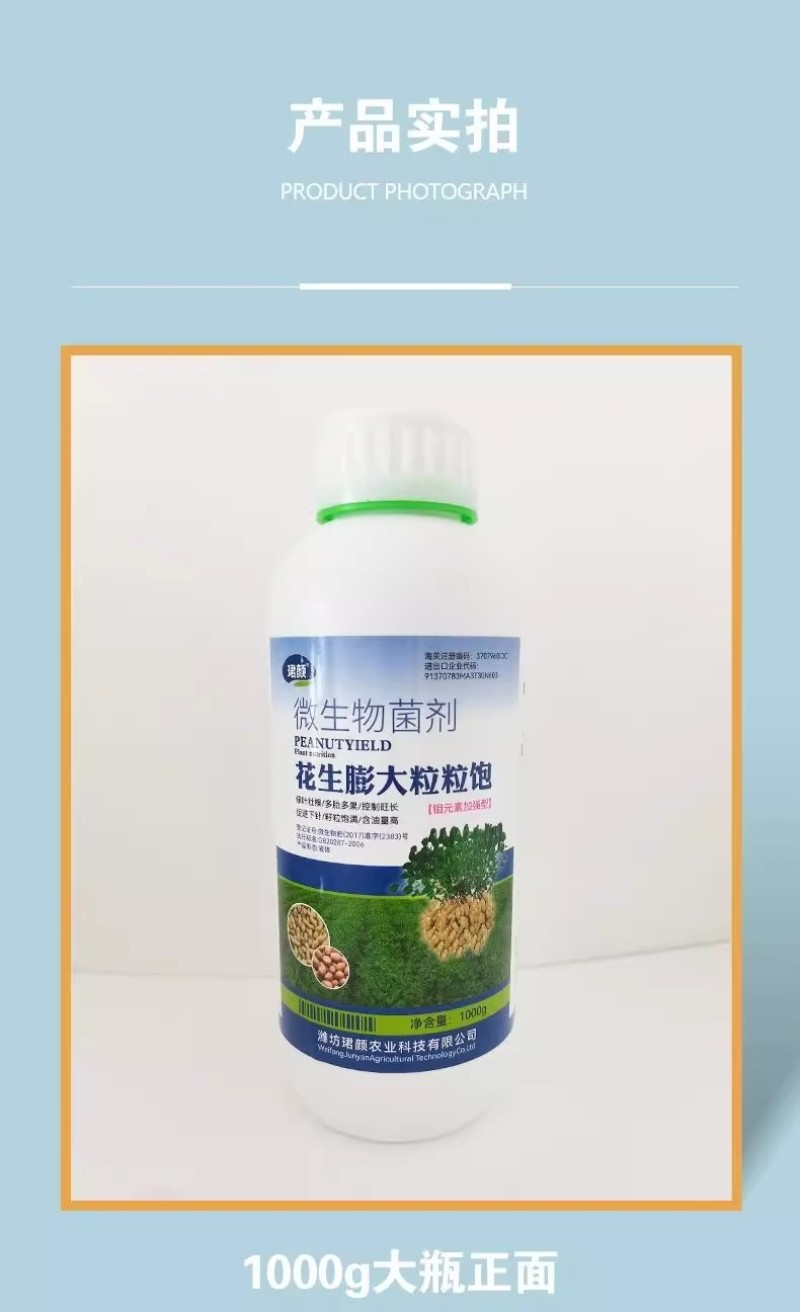 珺颜花生膨大粒粒饱增产增收多胎多果籽粒饱满促进下针有机水