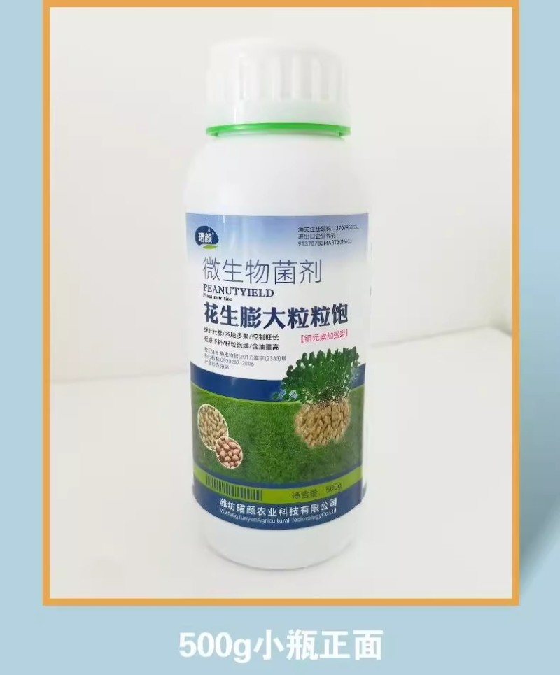 珺颜花生膨大粒粒饱增产增收多胎多果籽粒饱满促进下针有机水