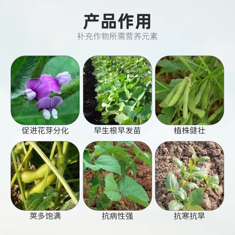 珺颜大豆粒粒饱高产增产增收专用叶面肥促根壮苗抗旱抗捞籽粒
