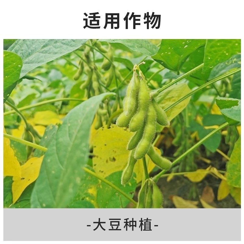珺颜大豆粒粒饱高产增产增收专用叶面肥促根壮苗抗旱抗捞籽粒