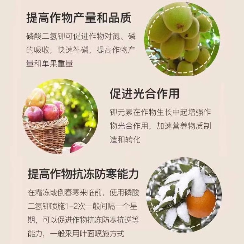 珺颜磷酸二氢钾提高座果促花提色提升甜度增强抗性增产增收通