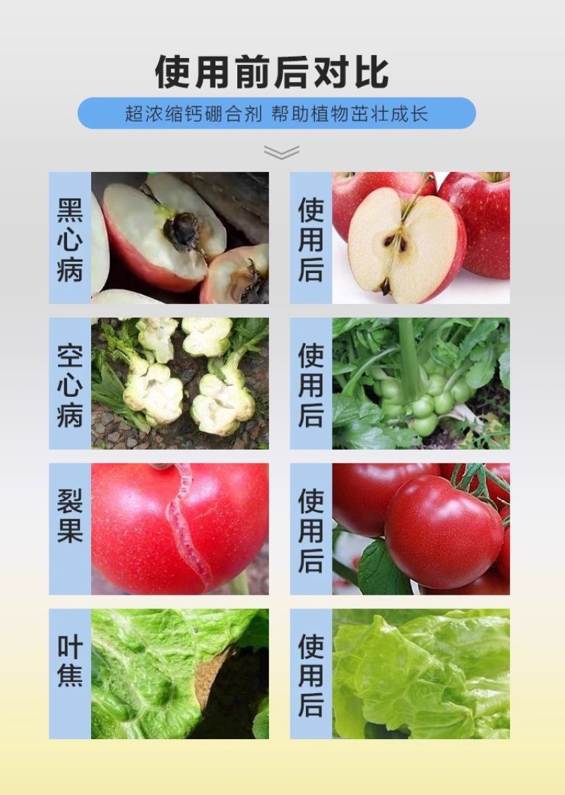 珺颜糖醇钙增糖增色补钙防裂提高抗逆性肥效持久果树蔬菜花卉