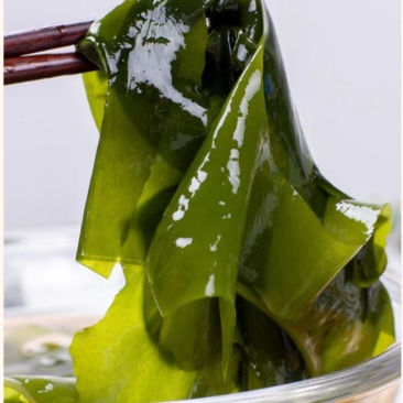 皓达大连裙带菜特色小吃串串火锅烧烤摊商用批发
