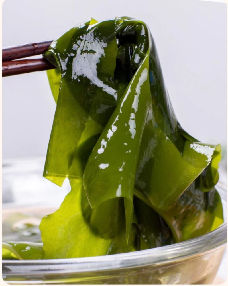 皓达大连裙带菜特色小吃串串火锅烧烤摊商用批发