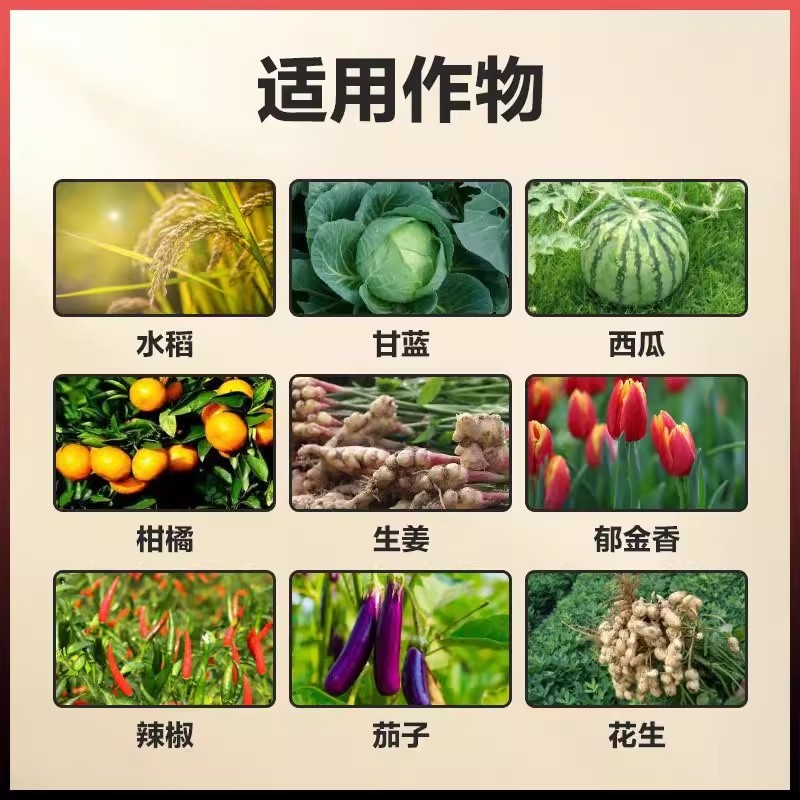 珺颜根多多生根液微生物菌剂发根壮苗绿叶增产预治根腐小