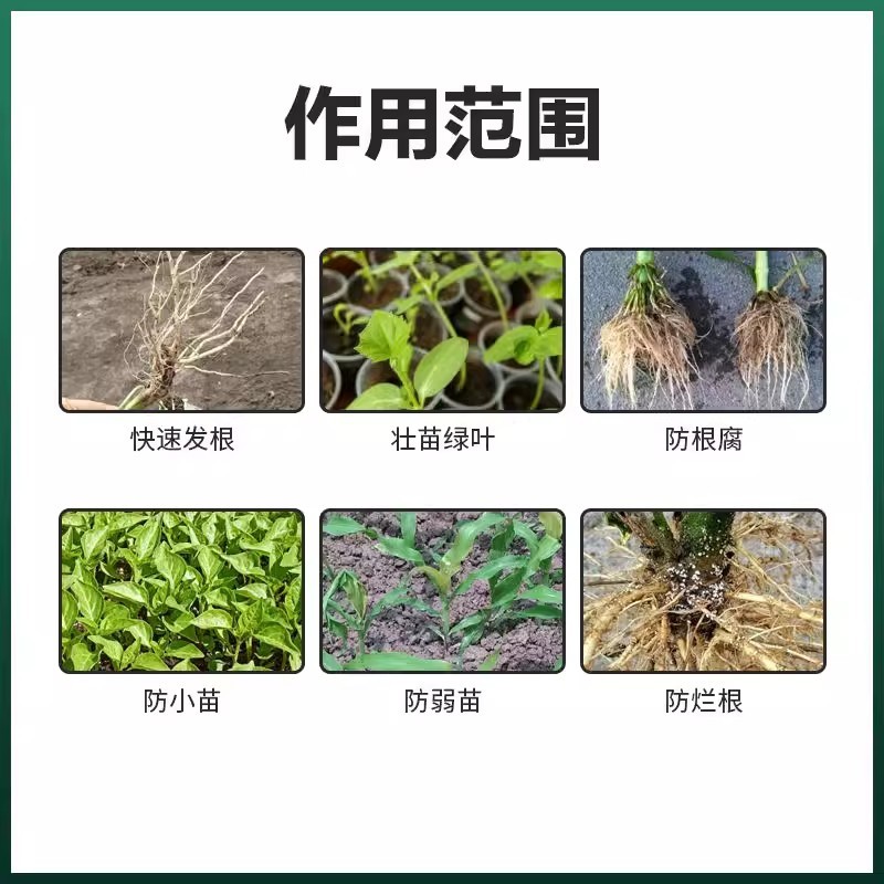 珺颜根多多生根液微生物菌剂发根壮苗绿叶增产预治根腐小