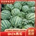 山东菏泽精品二茬8424大量上市产地直发