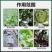 珺颜植物防冻液冬季防寒抗逆抗冻防冻剂提高作物温度有机矿物