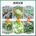 珺颜植物防冻液冬季防寒抗逆抗冻防冻剂提高作物温度有机矿物