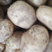城固县精品土豆沃土5号土豆，226土豆，个头大，产地直销