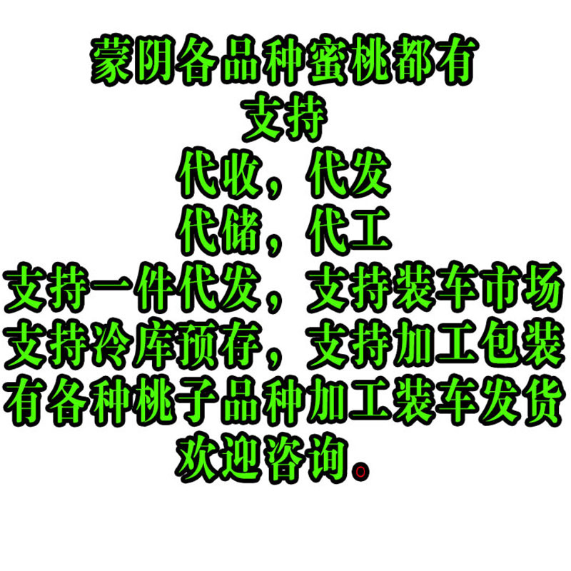 蒙阴黄毛蟠桃11大量上市供应桃子黄蟠桃毛蟠桃支持一件代发