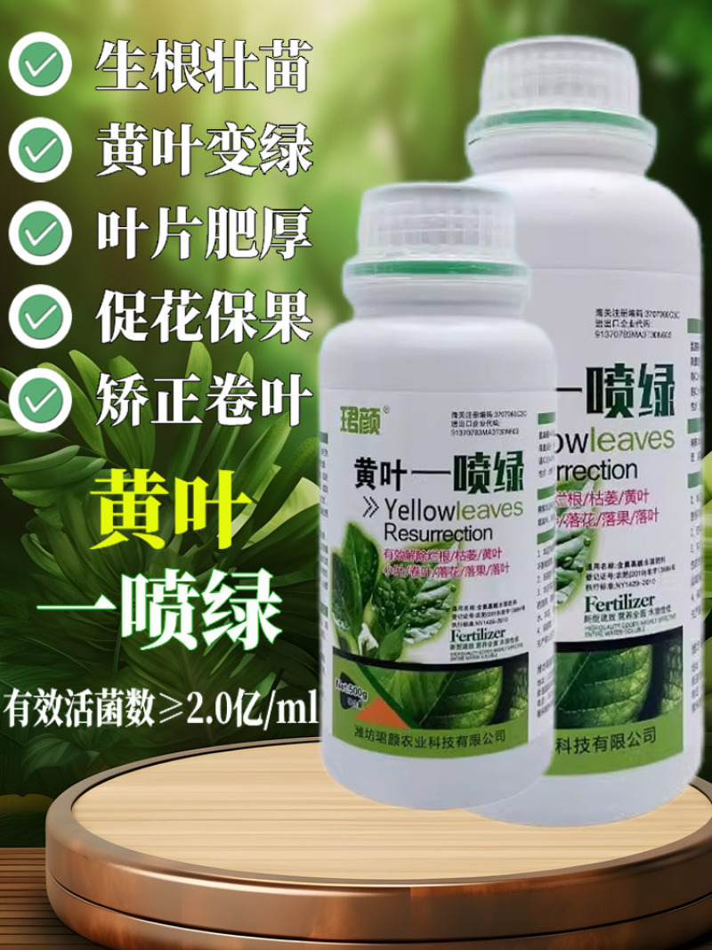 黄叶一喷绿小叶变大黄叶变绿蔬菜花卉果树通用珺颜