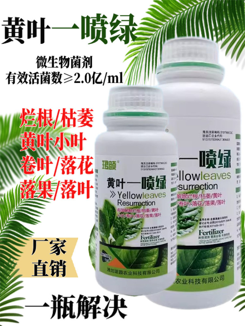 黄叶一喷绿小叶变大黄叶变绿蔬菜花卉果树通用珺颜