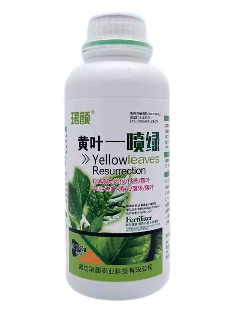 黄叶一喷绿小叶变大黄叶变绿蔬菜花卉果树通用珺颜