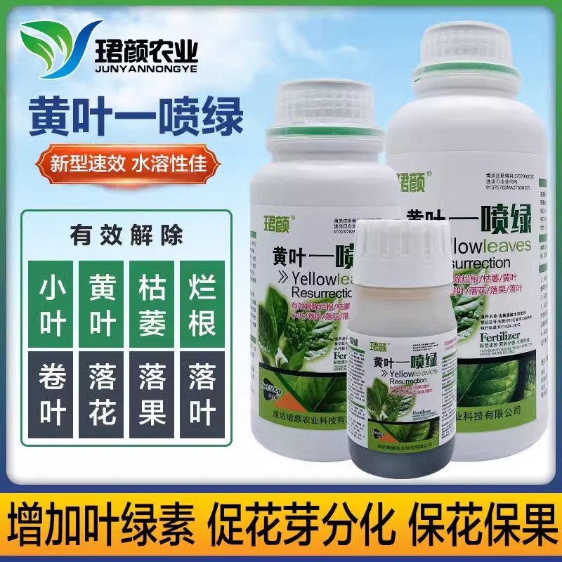 黄叶一喷绿小叶变大黄叶变绿蔬菜花卉果树通用珺颜