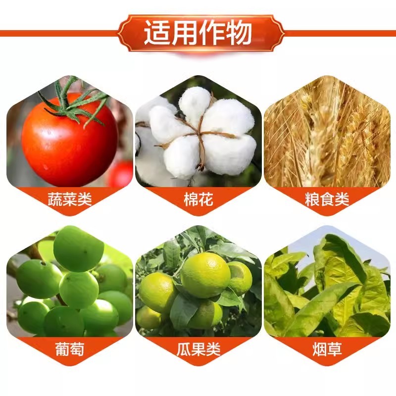 黄叶一喷绿小叶变大黄叶变绿蔬菜花卉果树通用珺颜