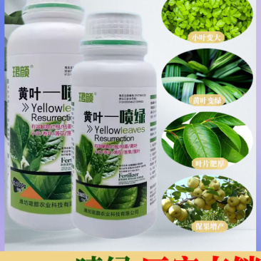 珺颜黄叶一喷绿小叶变大黄叶变绿蔬菜花卉果树通用肥料