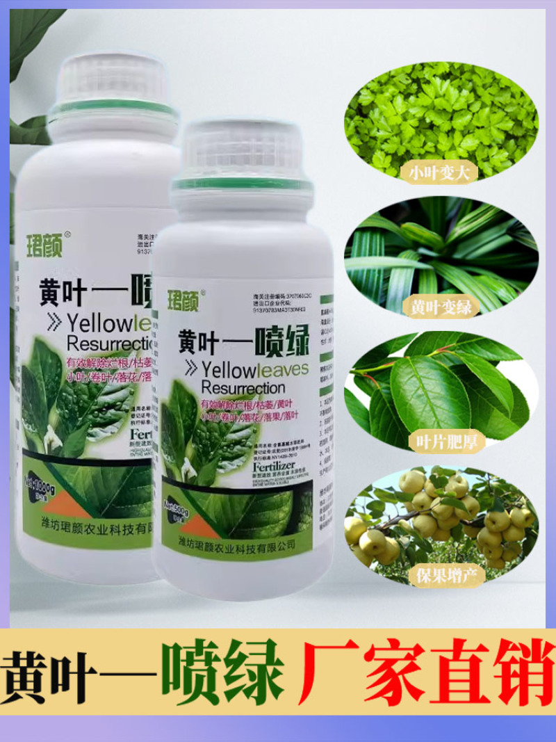珺颜黄叶一喷绿小叶变大黄叶变绿蔬菜花卉果树通用肥料