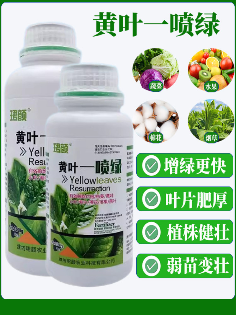 珺颜黄叶一喷绿小叶变大黄叶变绿蔬菜花卉果树通用肥料