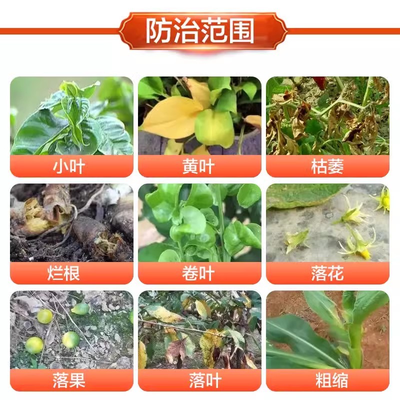 珺颜黄叶一喷绿小叶变大黄叶变绿蔬菜花卉果树通用肥料