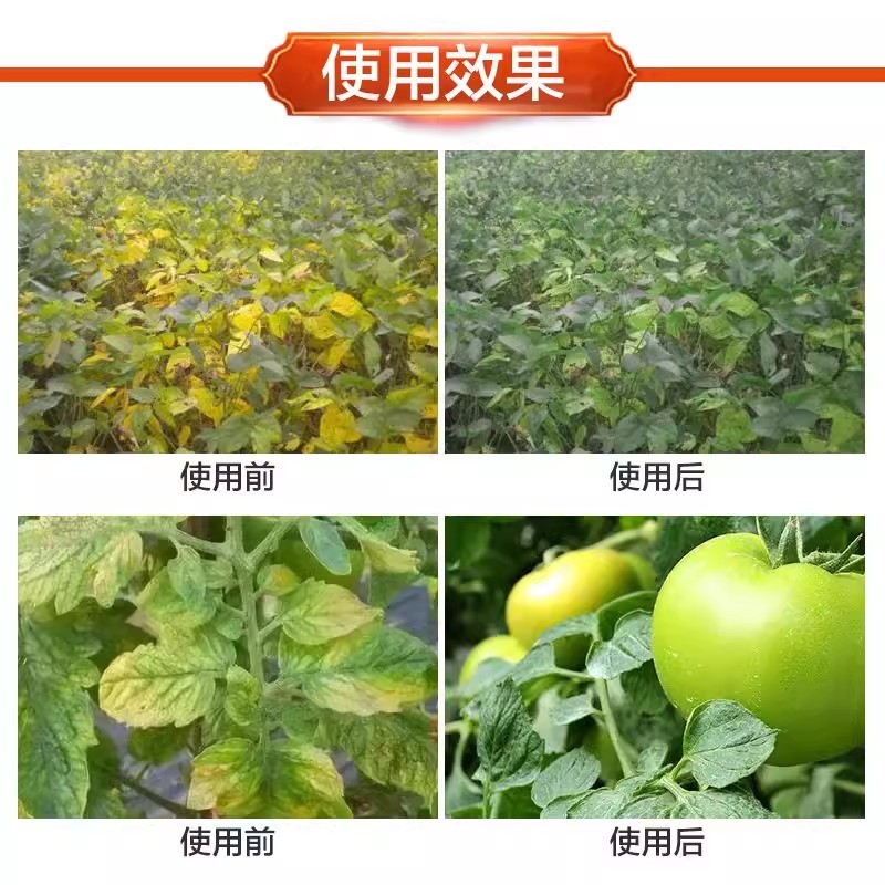 珺颜黄叶一喷绿小叶变大黄叶变绿蔬菜花卉果树通用肥料